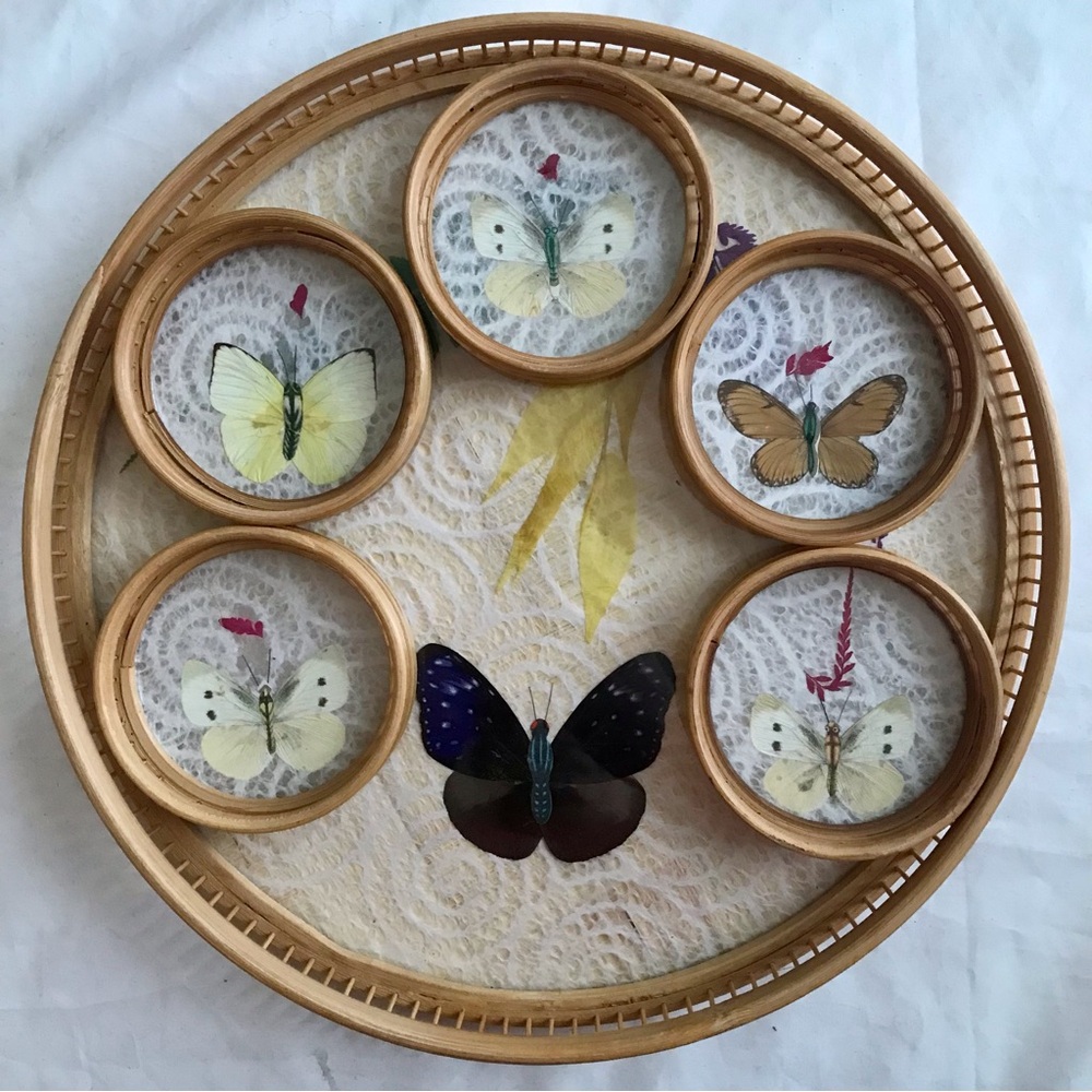 Vintage Bamboo Butterfly Tray and Coaster Set
